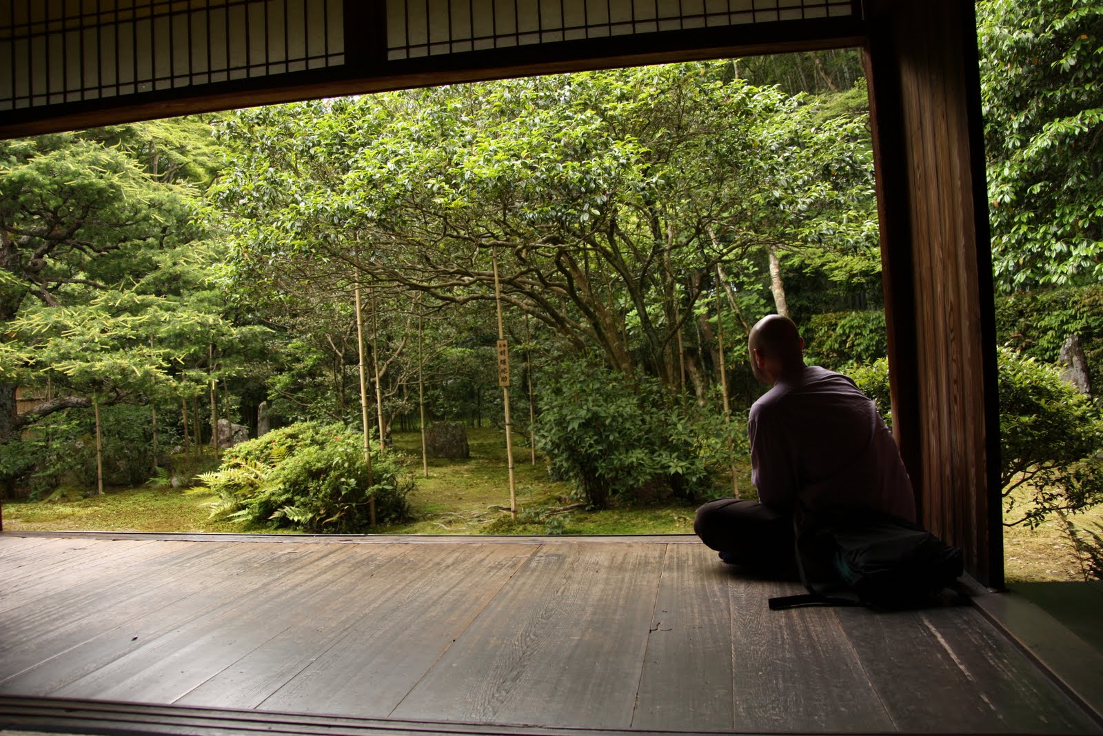 zen monastery Fenomeni